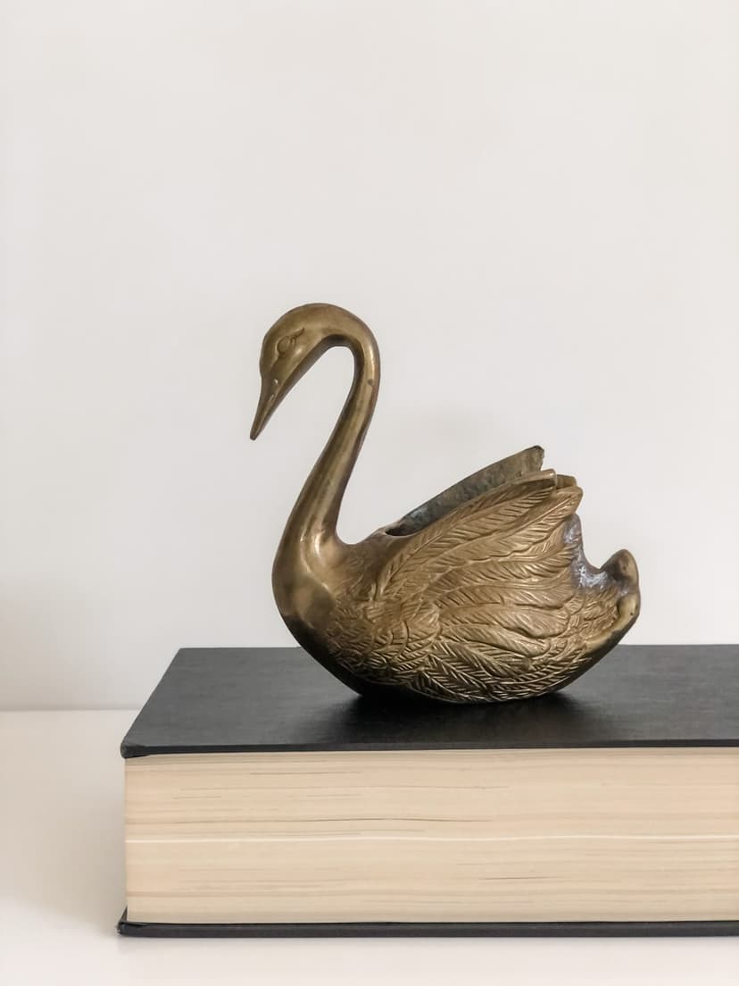 decorative collection